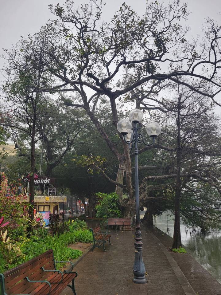 Parc avec des bancs et des lampadaires.