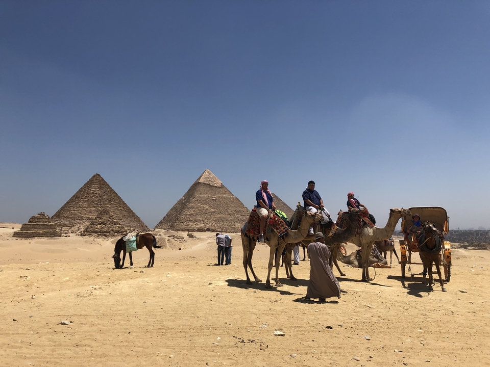 Chameaux et leurs cavaliers près des Grandes Pyramides.