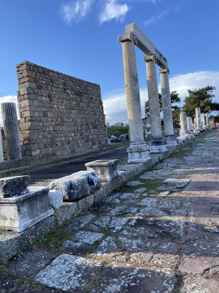Rangée de colonnes antiques parmi les ruines d'un site historique.