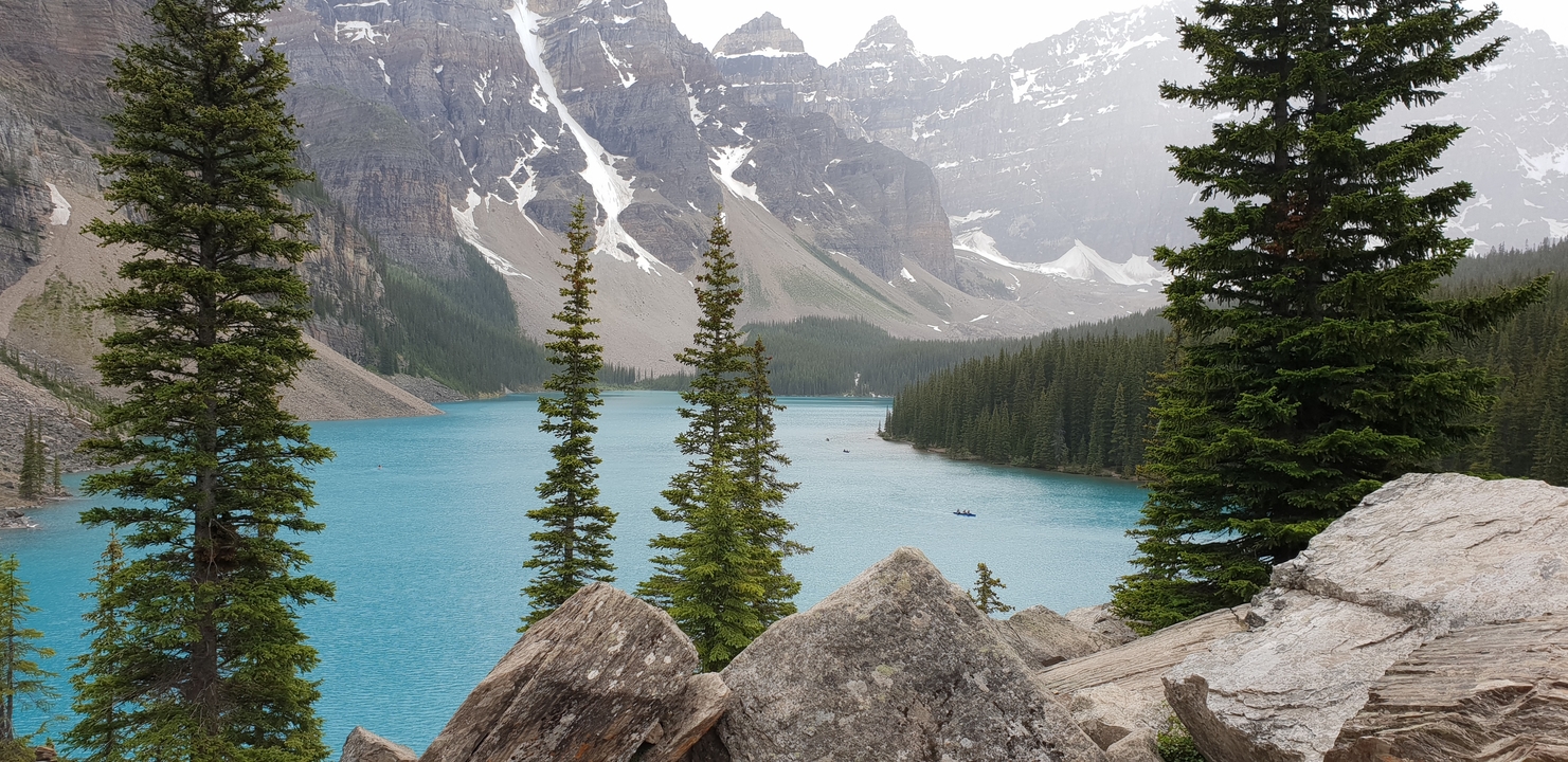 Un lac vibrant entouré de montagnes et de pins