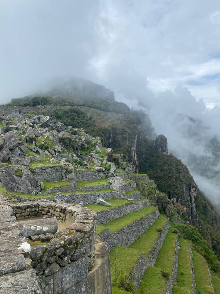 Paysage en terrasses avec montagnes brumeuses.