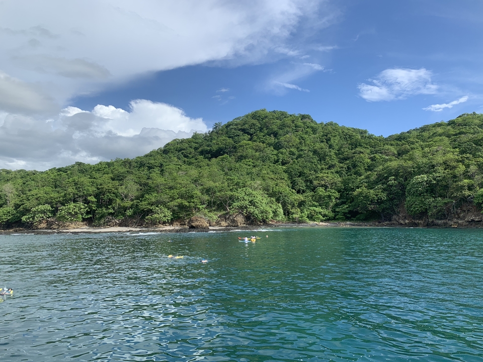 Des kayakistes dans une baie verte et calme entourée de forêt.