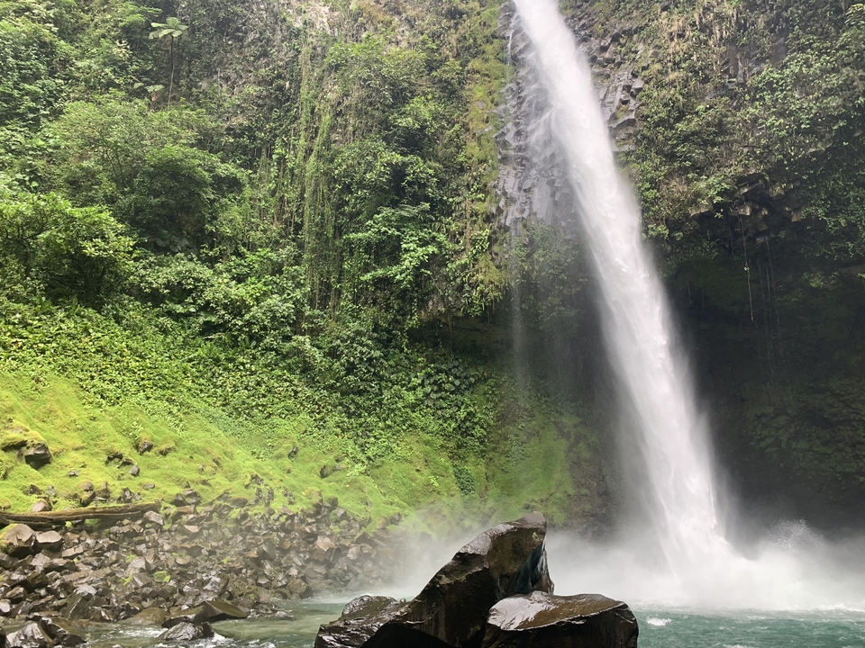 Magnifique cascade qui se déverse dans un espace verdoyant luxuriant.