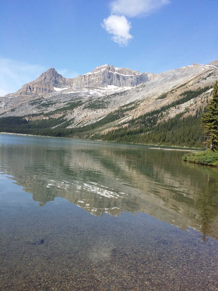 Magnifique lac reflétant les montagnes et les arbres environnants.