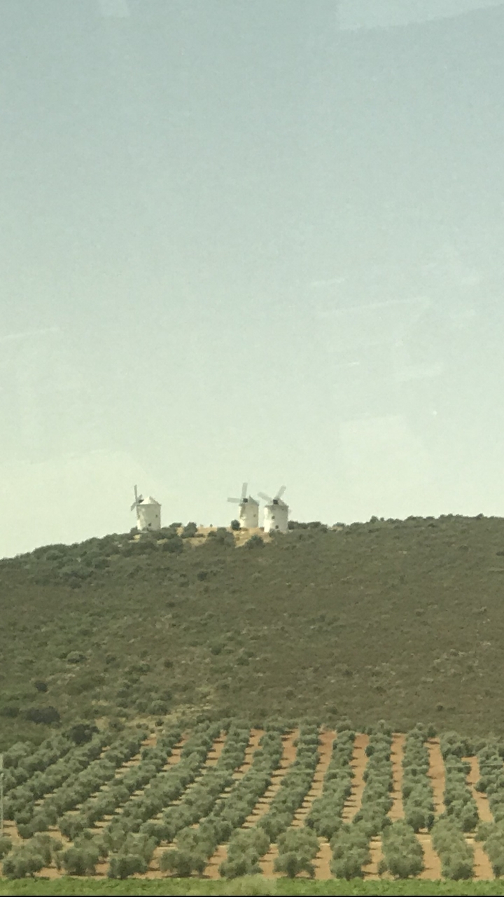Vue lointaine d'éoliennes sur une colline.