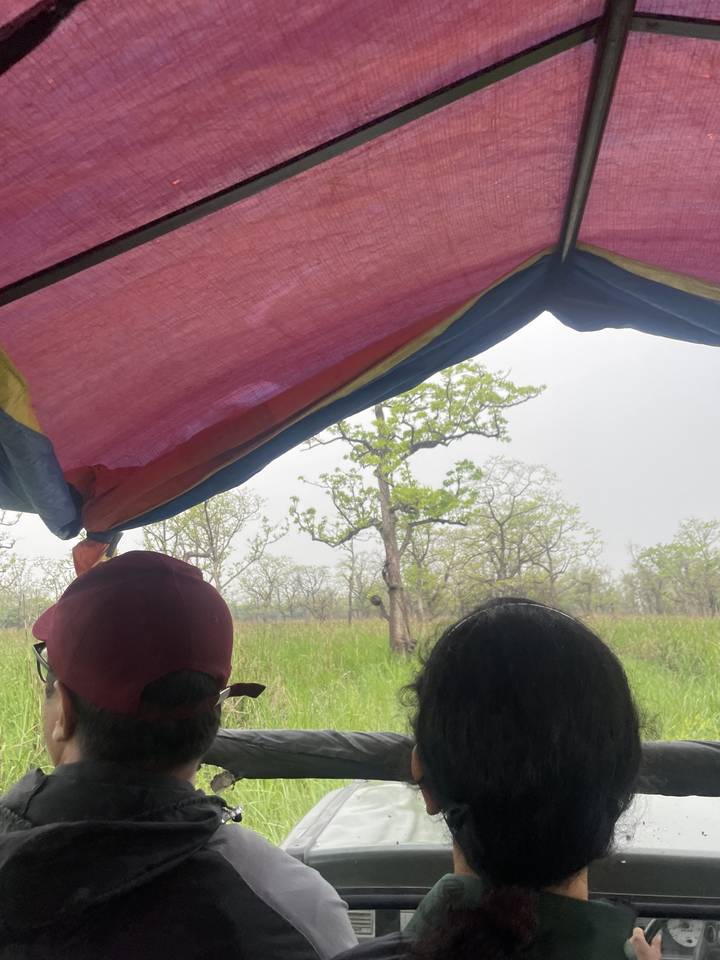 Des personnes dans un véhicule en safari dans les plaines herbeuses.