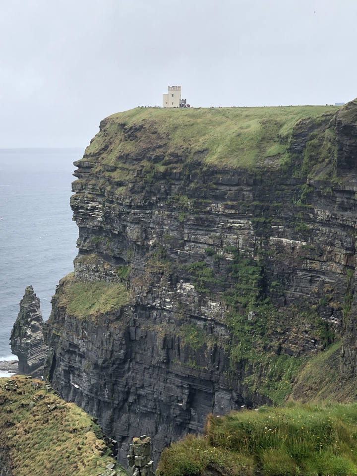 Falaises avec végétation au bord de la mer.