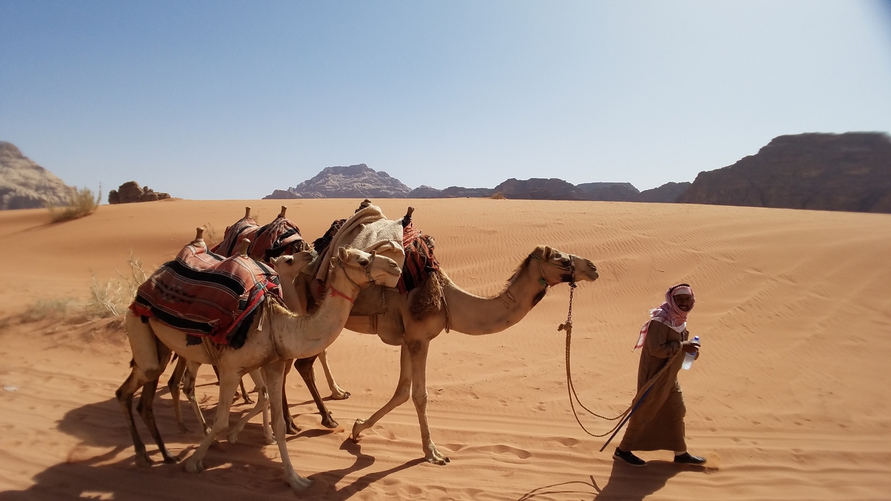 Homme menant des chameaux à travers un paysage désertique.