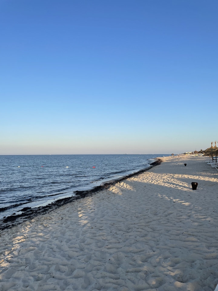 Plage avec océan calme et rivage sablonneux pendant la journée.