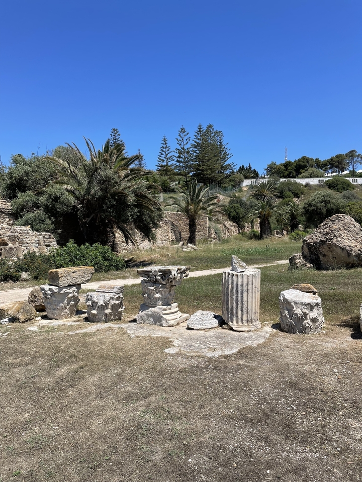 Ruines antiques et colonnes entourées d'arbres.