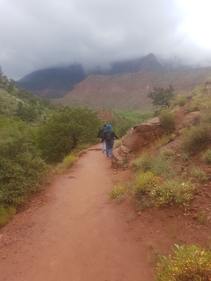 Des randonneurs sur un sentier entourés de végétation verte.