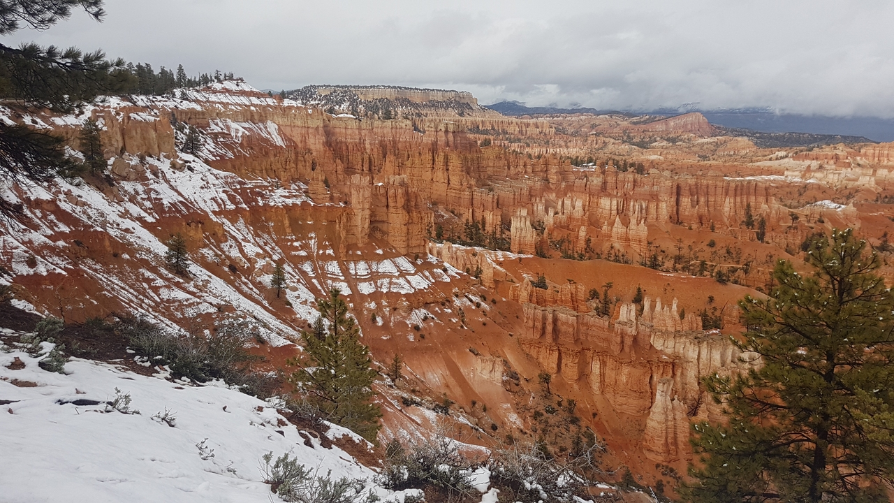 Vue majestueuse de Bryce Canyon recouvert de neige.