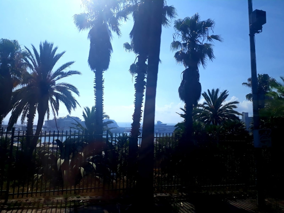 Palmiers silhouettés contre la mer avec des navires de croisière à l'arrière-plan.