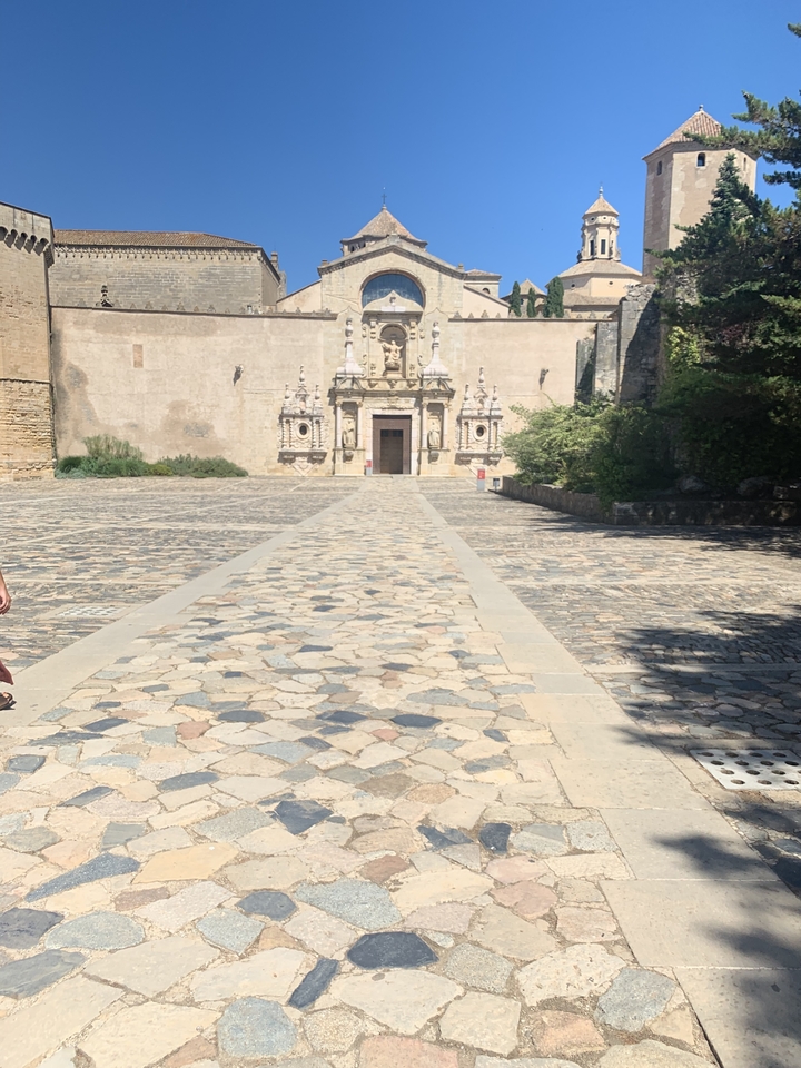 Cour en pierre menant à une porte décorative.