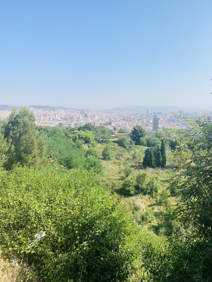 Vue panoramique d'une ville entourée de verdure et de collines.
