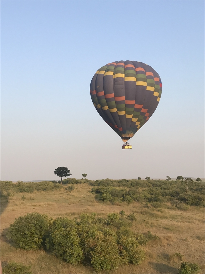 Montgolfière flottant au-dessus d'une savane