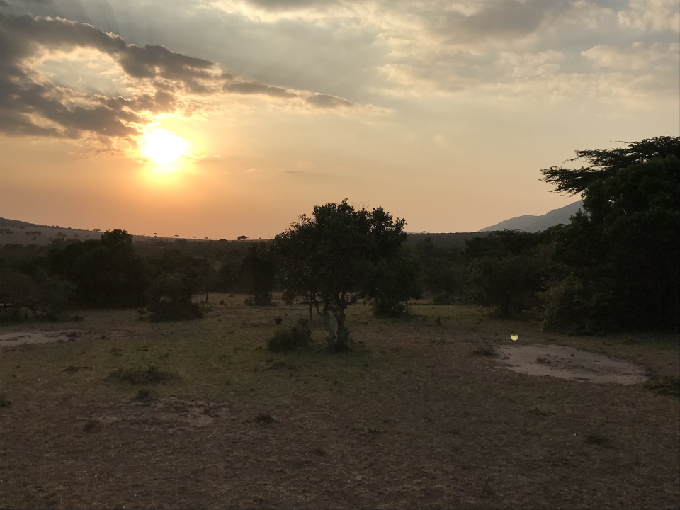 Coucher de soleil sur un paysage herbeux avec des arbres