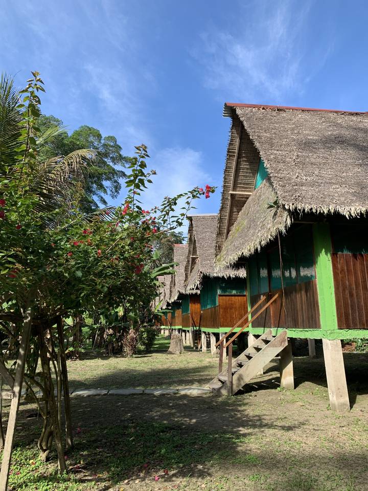 Huttes traditionnelles en bois avec des toits de chaume en palmes.