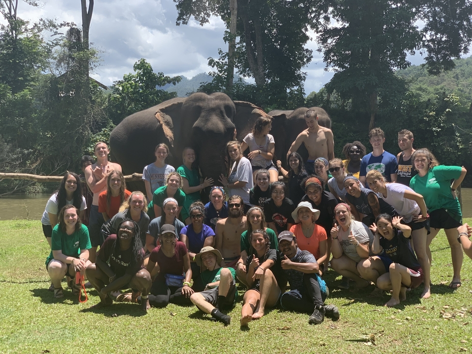 Groupe de personnes posant avec des éléphants dans un champ.