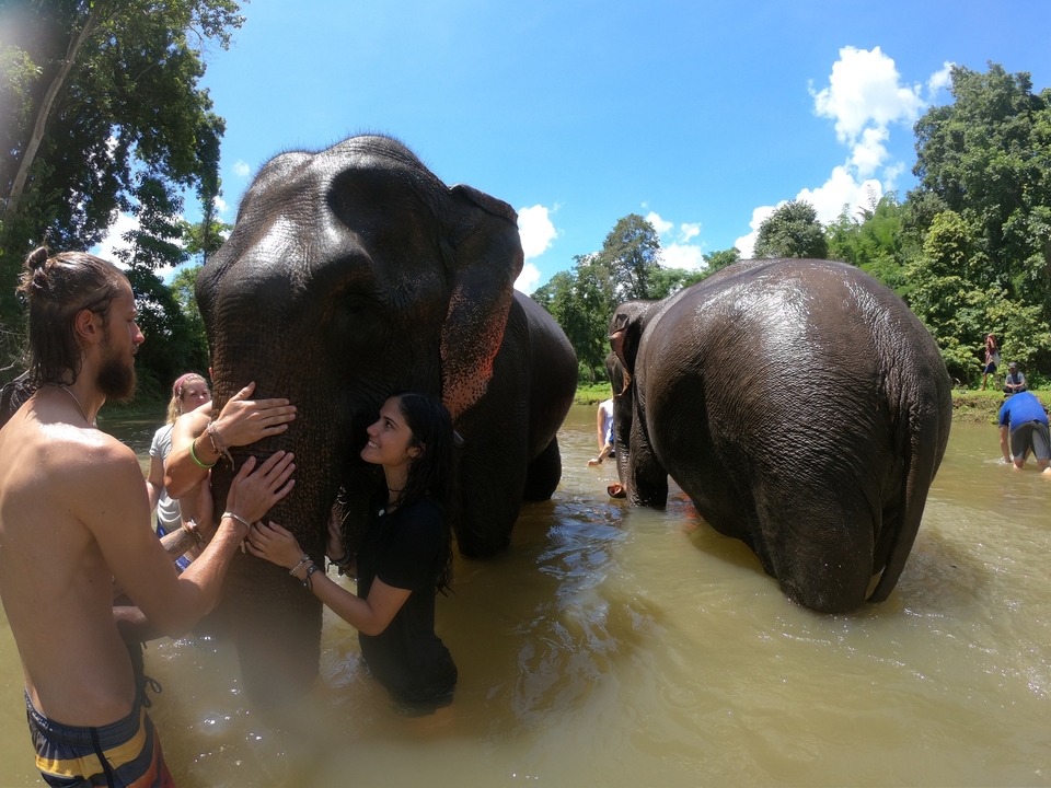 Des personnes interagissent avec des éléphants dans une rivière.