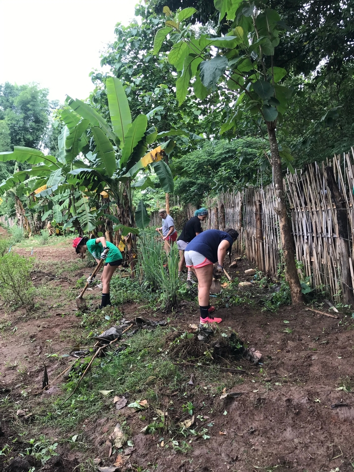 Groupe de personnes qui jardinent près d'une clôture en bambou.