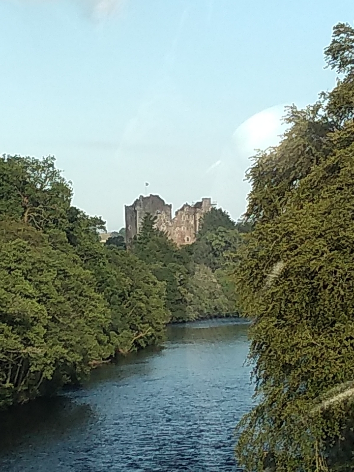 View of a castle through trees.
