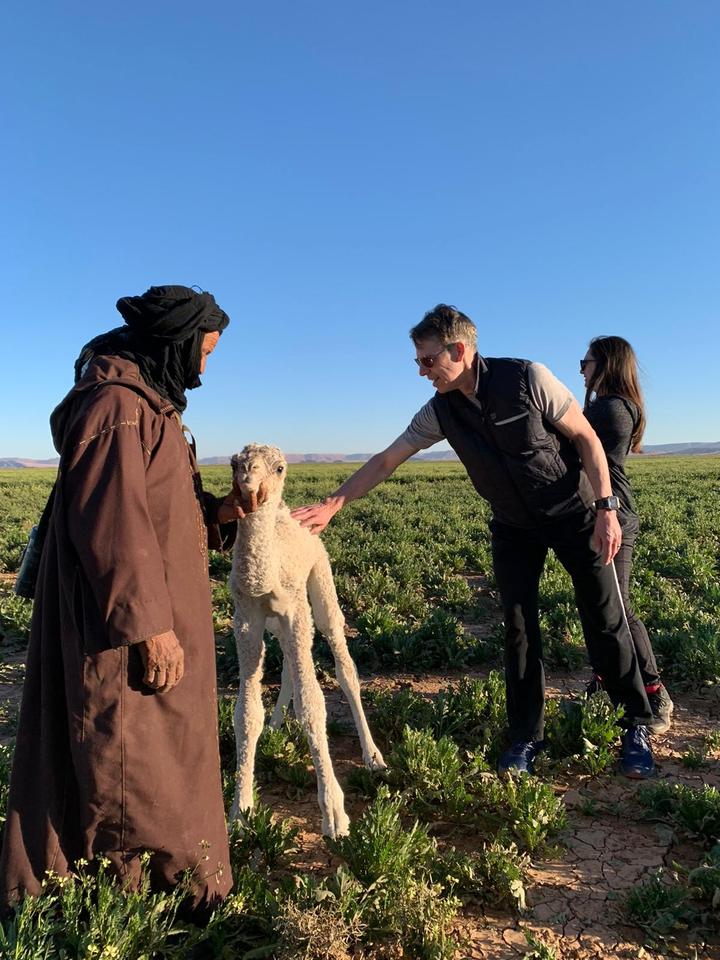 Des personnes interagissant avec un chameau et une personne locale en tenue traditionnelle.