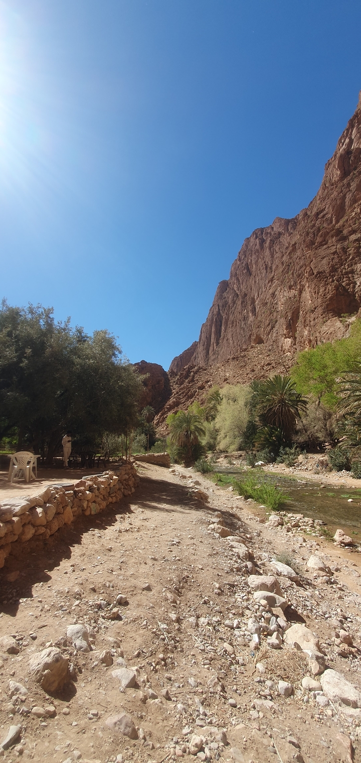 Des arbres et des falaises rocheuses dans une gorge sous un ciel dégagé.