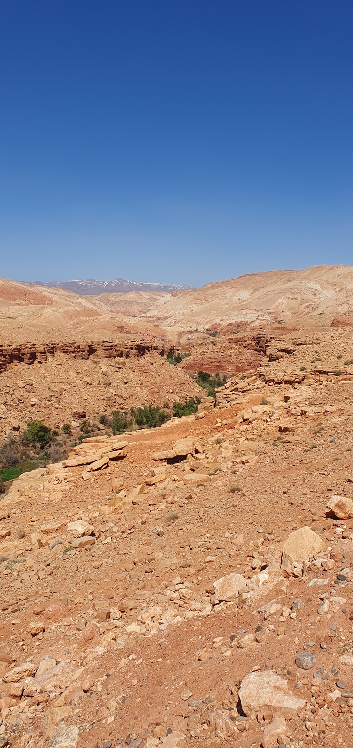 Paysage de canyon rocheux avec végétation clairsemée.