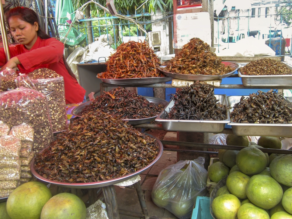 Étal de marché présentant des plateaux d'insectes frits.