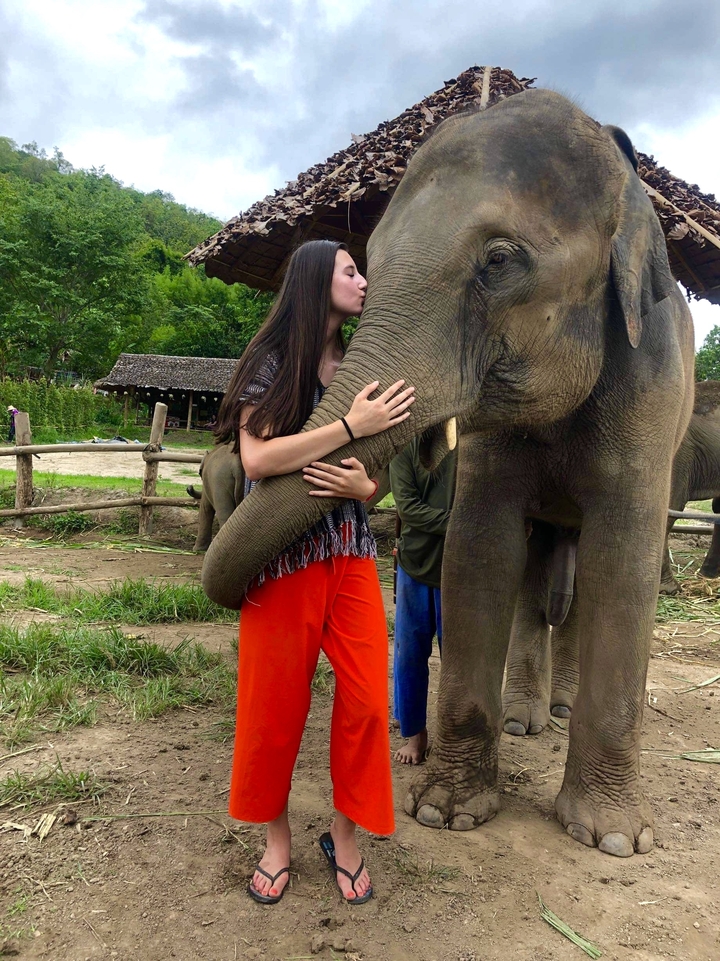 A woman interacts with an elephant at a sanctuary.