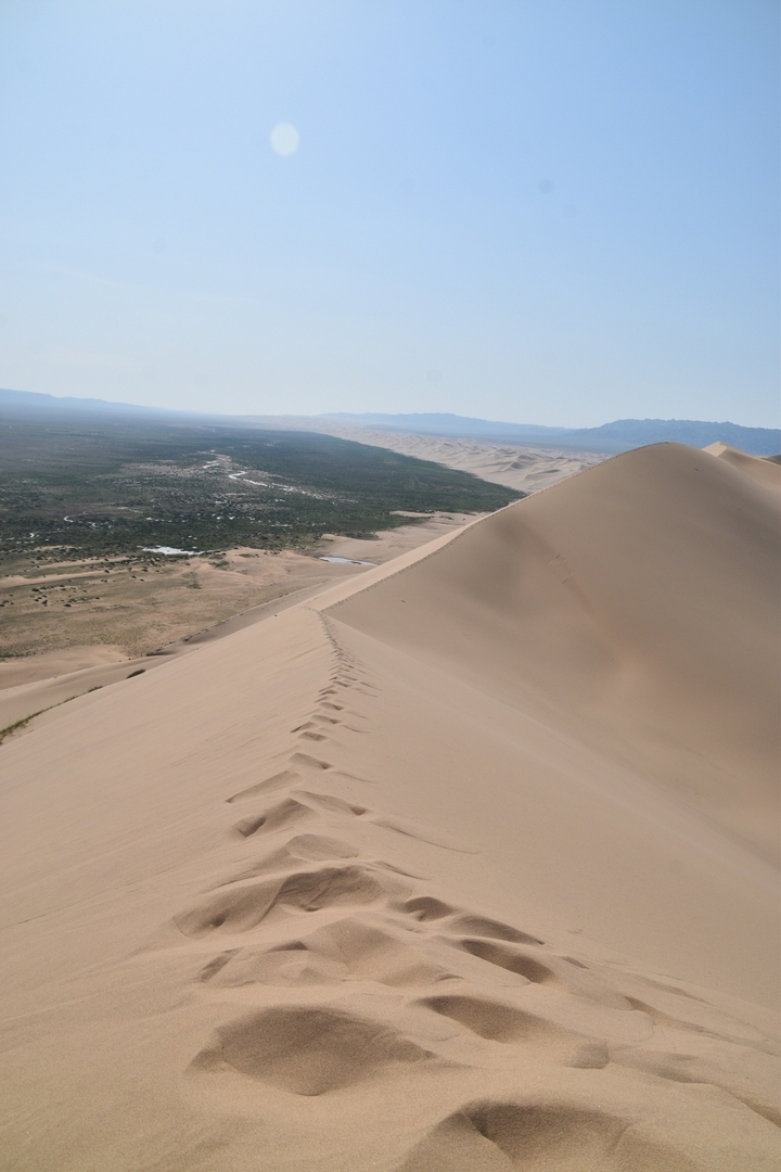 Des dunes de sable s'étendant au loin.