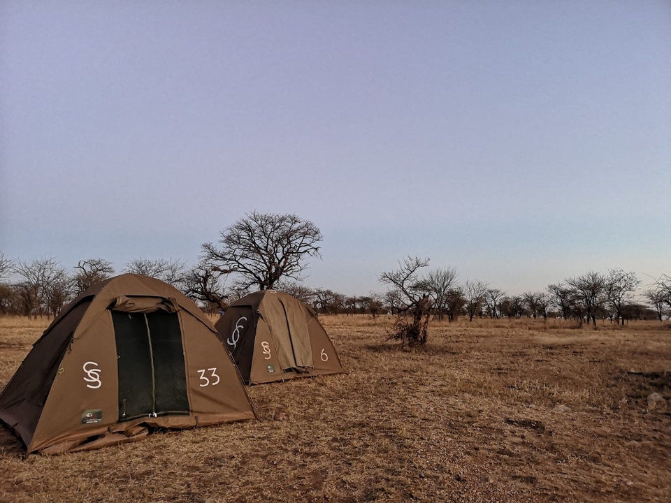 Zelte auf einem trockenen Savannengelände aufgebaut.