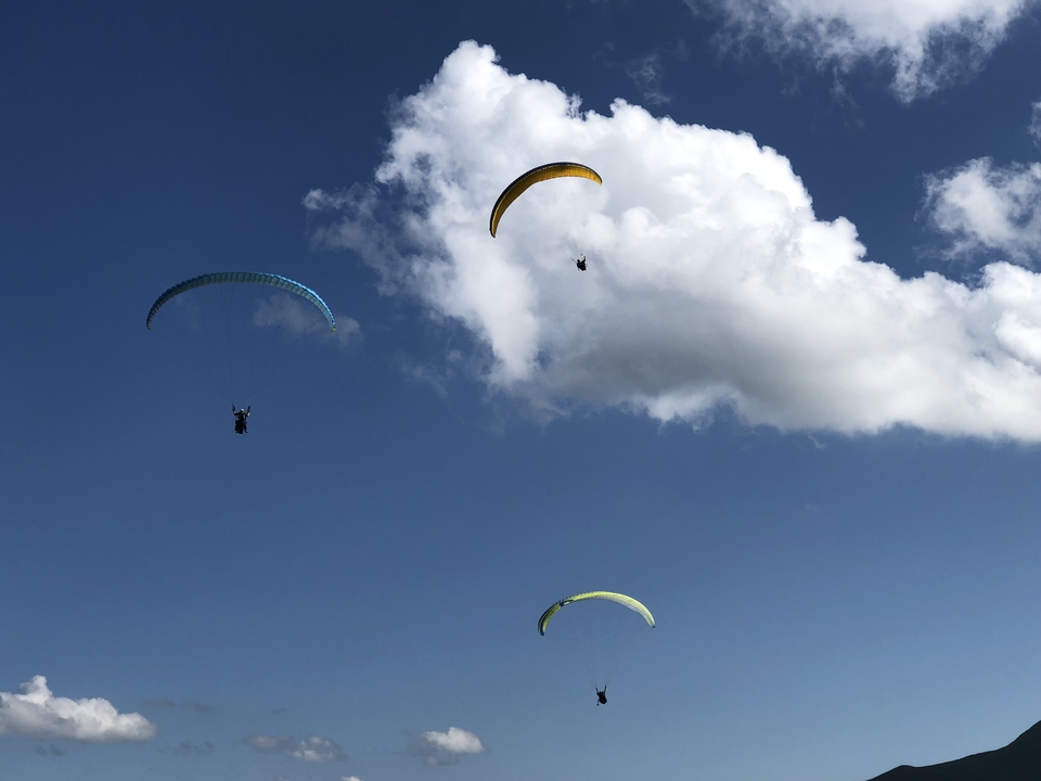Parapentistes dans un ciel bleu clair.