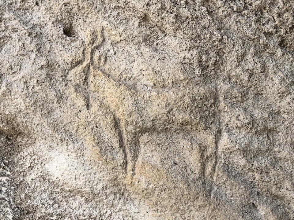 Pétroglyphe ancien d'un animal sur un rocher.
