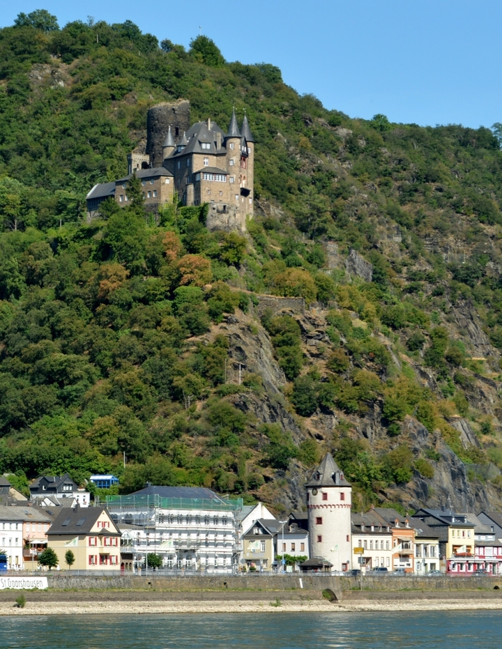 Château sur une colline entouré d'une forêt dense.