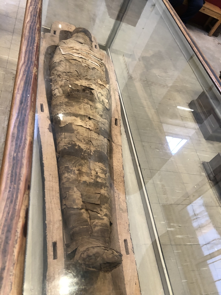 Momie antique exposée dans une vitrine en verre.