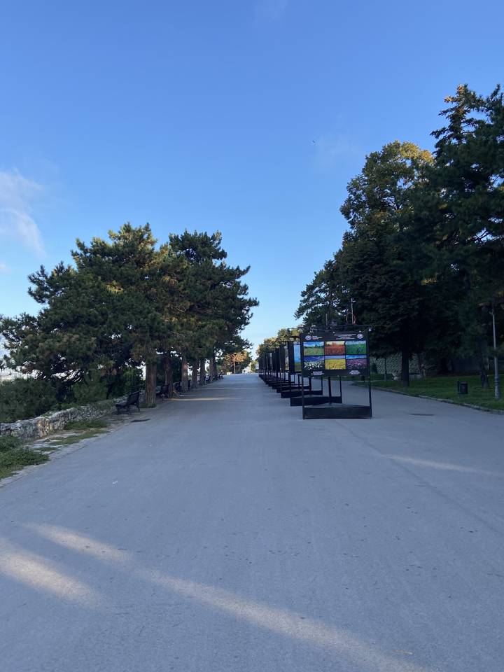 Weg in einem Park mit Bäumen und Schildern.