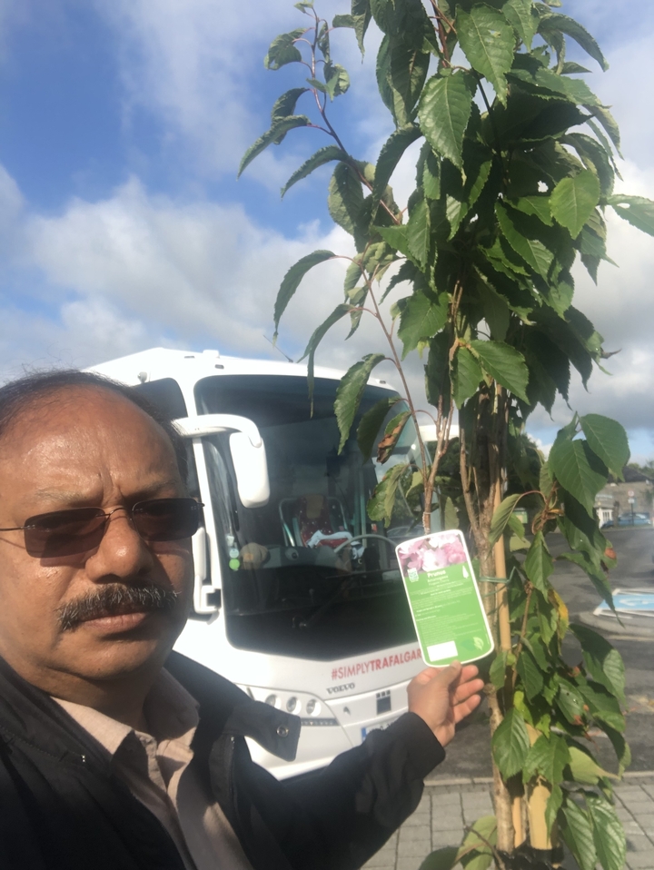 Personne prenant un selfie avec un autobus et une plante en pot.