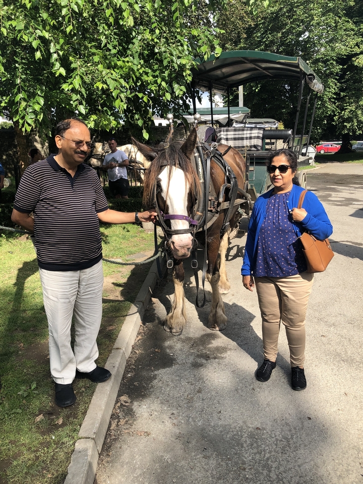 Deux personnes posant avec une calèche.