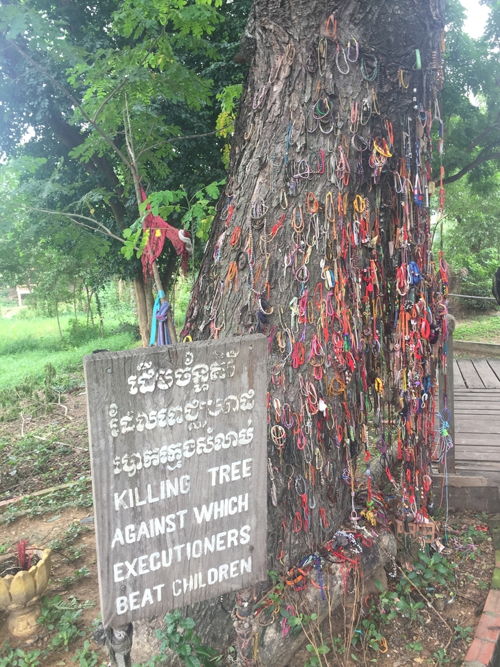 Árbol adornado con pulseras coloridas y un letrero camboyano.