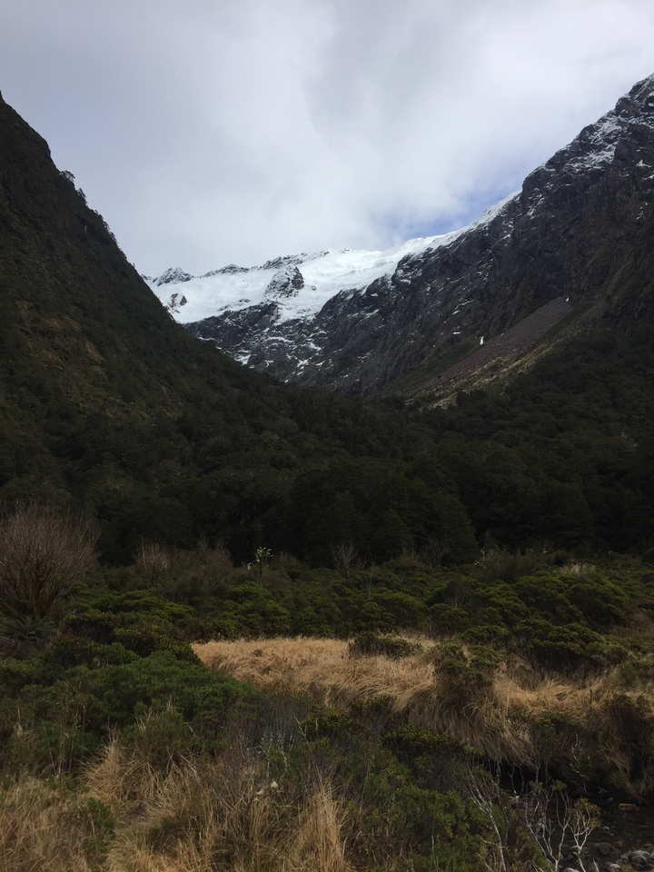 Une montagne enneigée entourée d'une forêt dense et vert foncé.