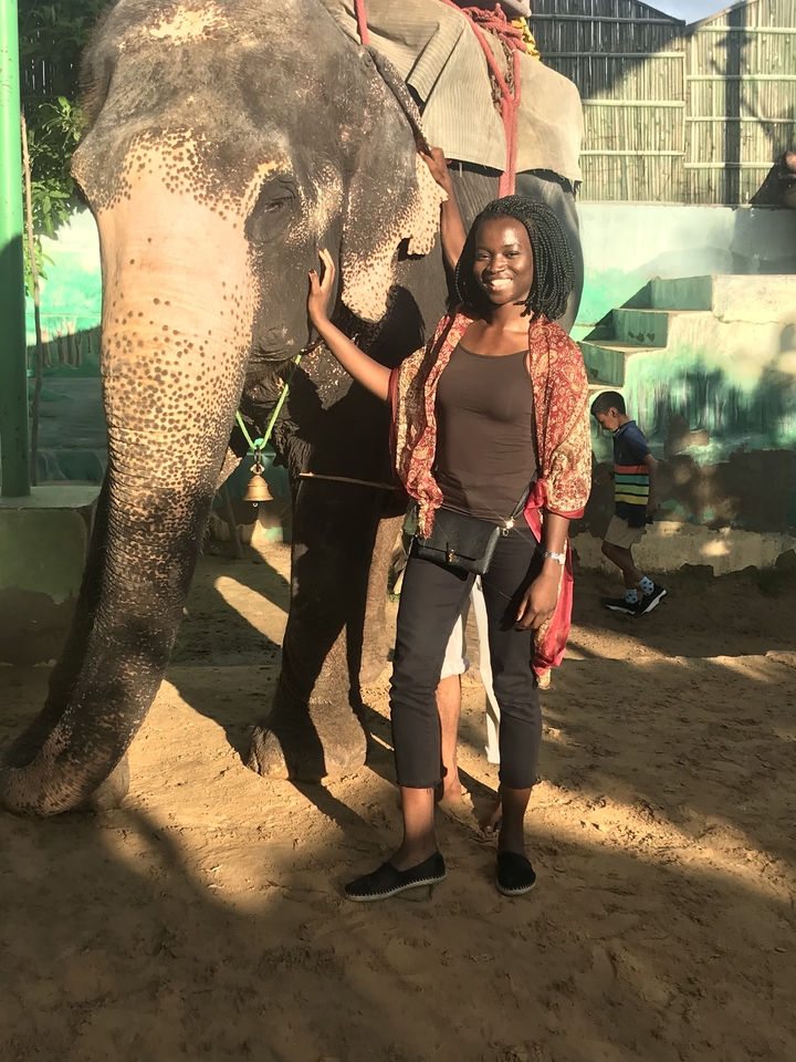 Une femme debout avec un éléphant dans un cadre extérieur.