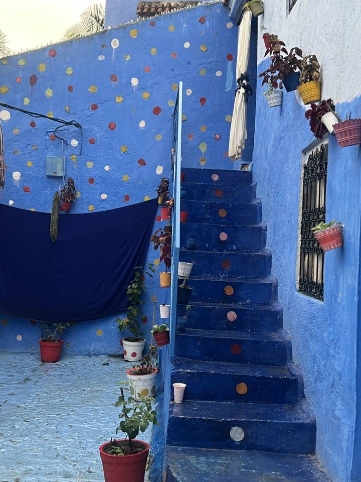 Escalier bleu coloré avec des murs à pois et des plantes en pot.