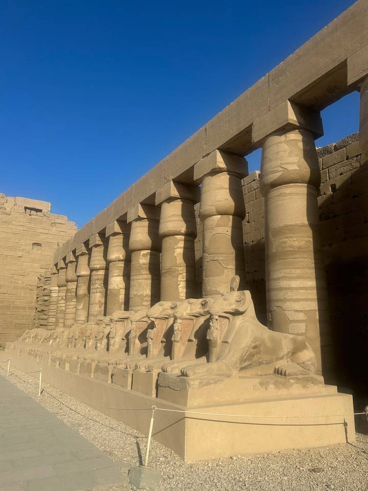 Série de colonnes égyptiennes dans un cadre extérieur.