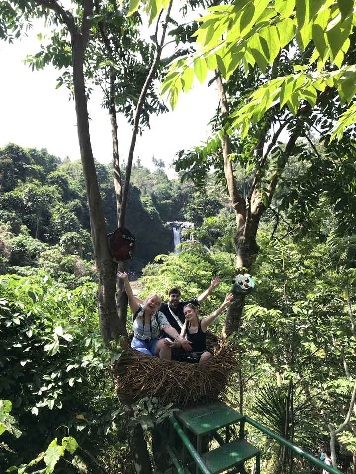 Three people posing in front of lush greenery and a waterfall.