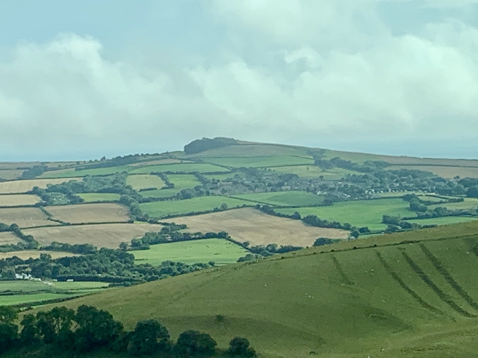 Paysage de campagne vallonnée avec des champs.