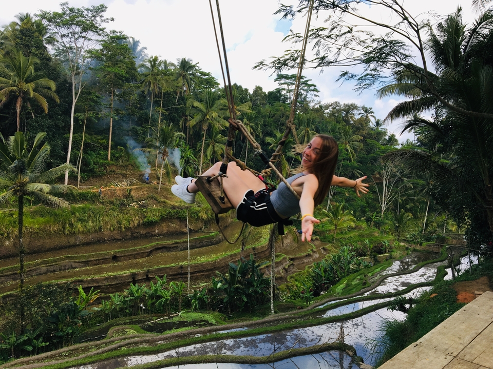 Woman swinging over terraced rice fields.