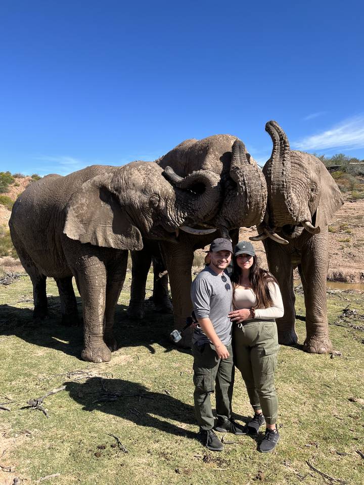 Couple posant avec des éléphants en arrière-plan.