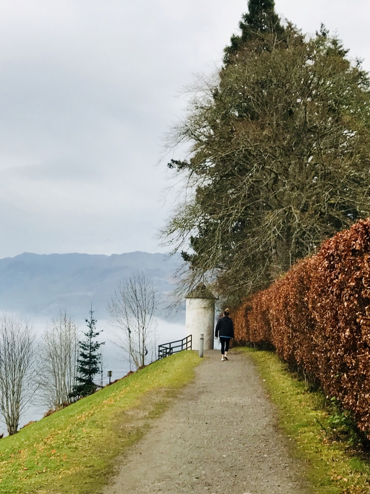 Personne marchant le long d'un sentier avec des arbres et des montagnes en arrière-plan.